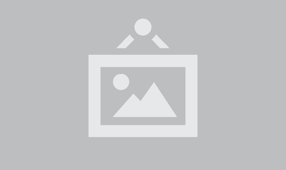 تیشرت یقه گرد بیسیک